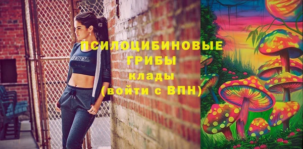 мяу мяу кристалл Ельня